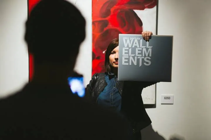Wall Elements, RuArts Gallery, Moscow, 2014