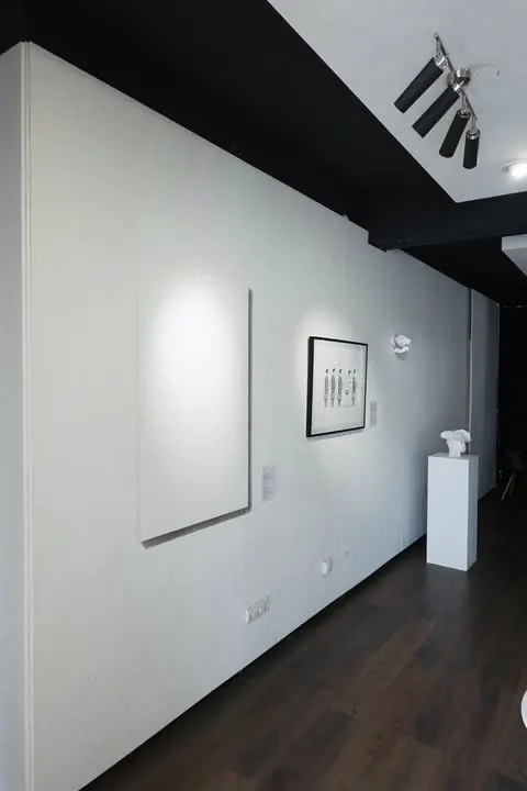 I tried, Arte Vilnius, Vilnius, 2025